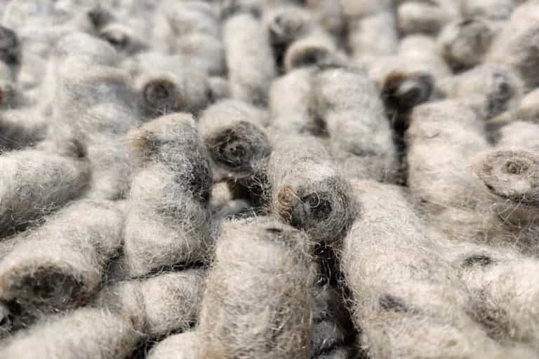 Africa-Luxor-Detail_1