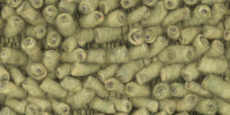 Africa-Luxor-Farbe_1040