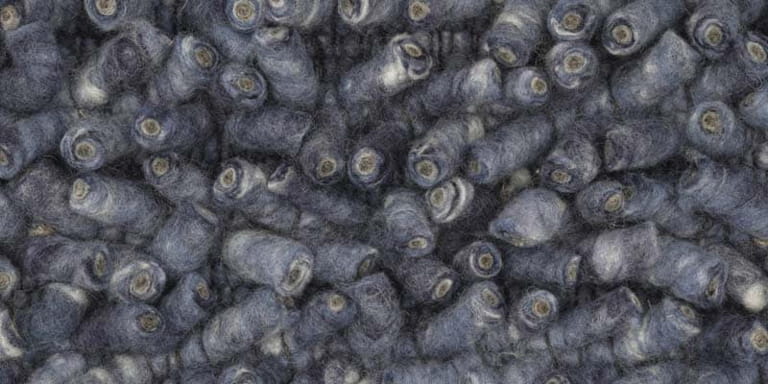 Africa-Luxor-Farbe_1155