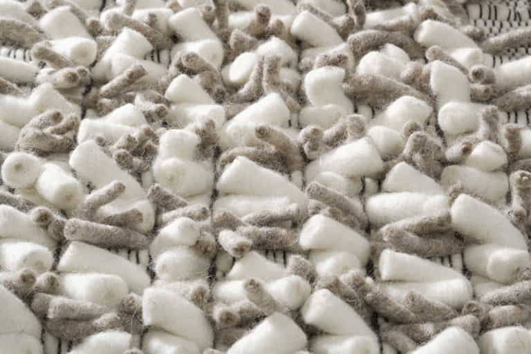 Africa-Pretoria-Detail_1