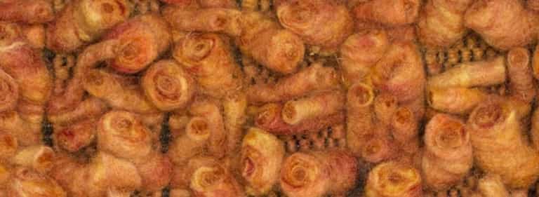 Africa-Pretoria-Farbe_1022