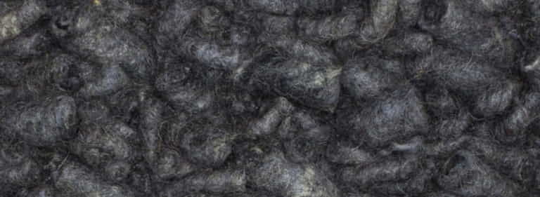 Africa-Pretoria-Farbe_1034