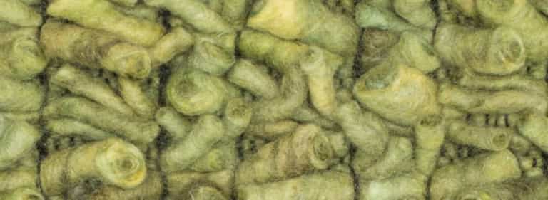 Africa-Pretoria-Farbe_1040