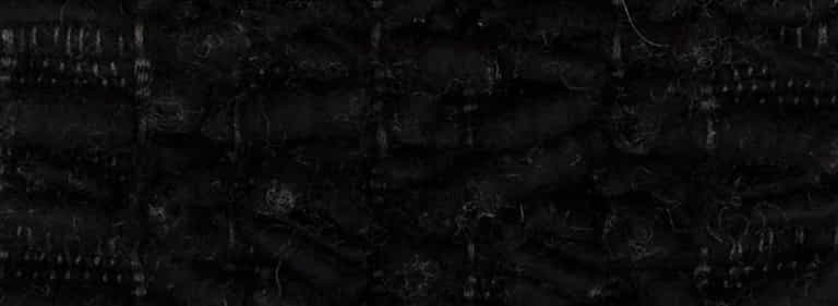 Africa-Pretoria-Farbe_1088