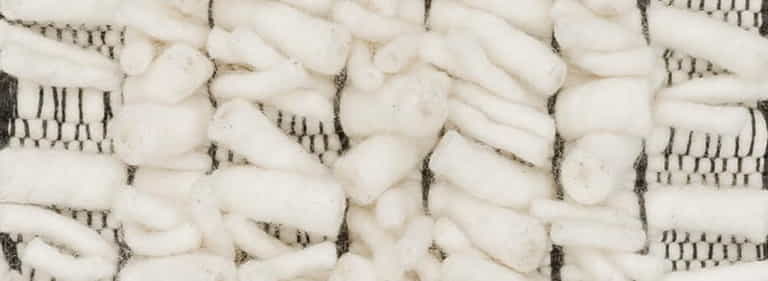 Africa-Pretoria-Farbe_1100