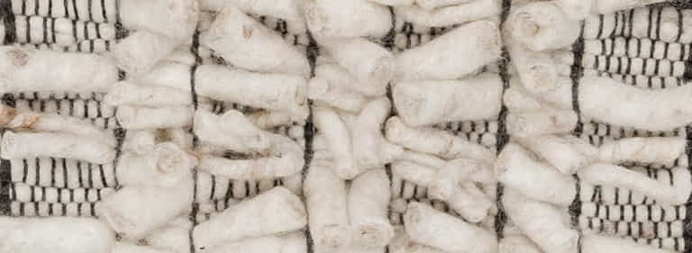 Africa-Pretoria-Farbe_1102