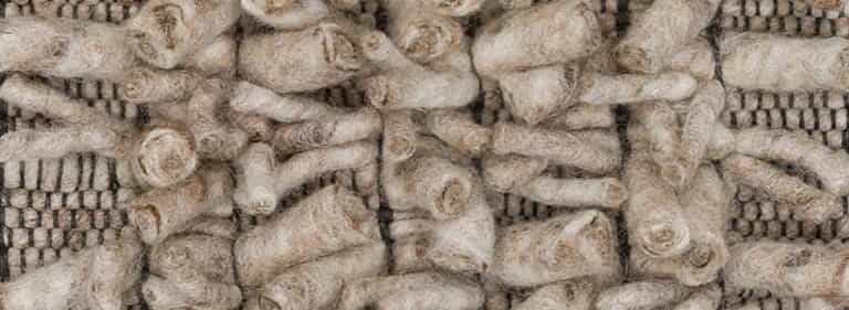 Africa-Pretoria-Farbe_1104