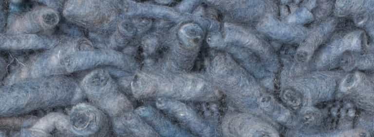 Africa-Pretoria-Farbe_1153