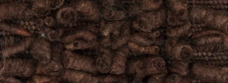 Africa-Pretoria-Farbe_1168