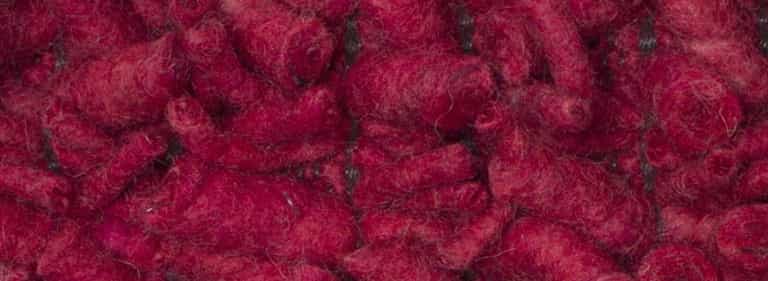 Africa-Pretoria-Farbe_1319