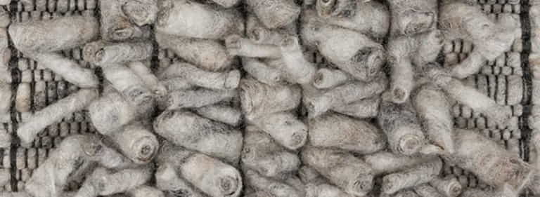 Africa-Pretoria-Farbe_1332