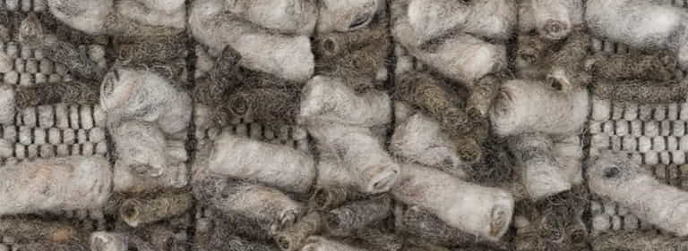 Africa-Pretoria-Farbe_1332_1038