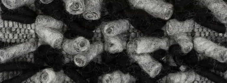 Africa-Pretoria-Farbe_1338_1088