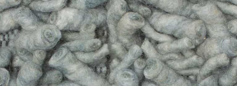 Africa-Pretoria-Farbe_1343