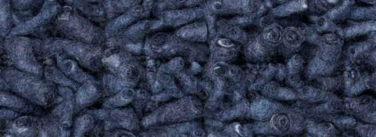 Africa-Pretoria-Farbe_1350