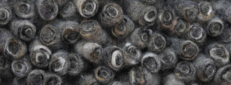 City-Halifax-Farbe_1038