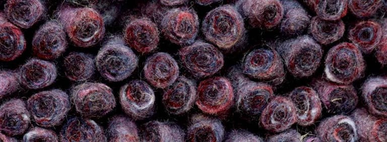 City-Halifax-Farbe_1099