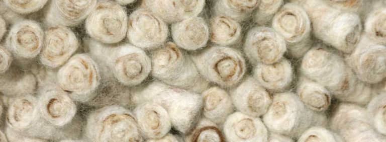 City-Halifax-Farbe_1102