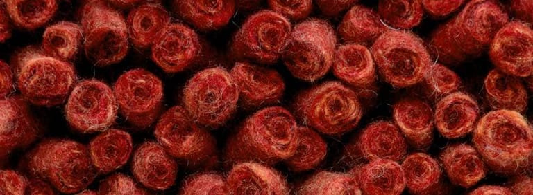 City-Halifax-Farbe_1112