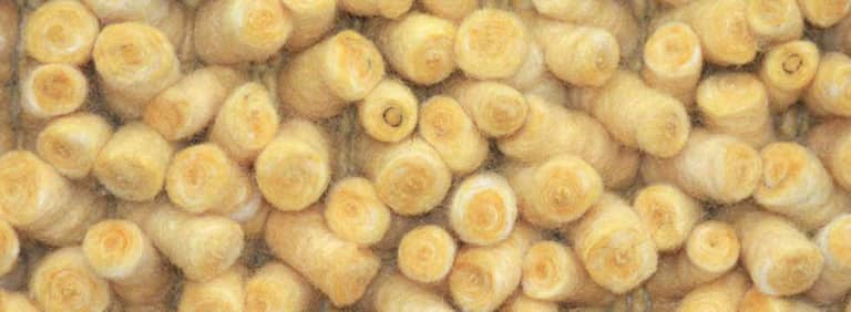 City-Halifax-Farbe_1120