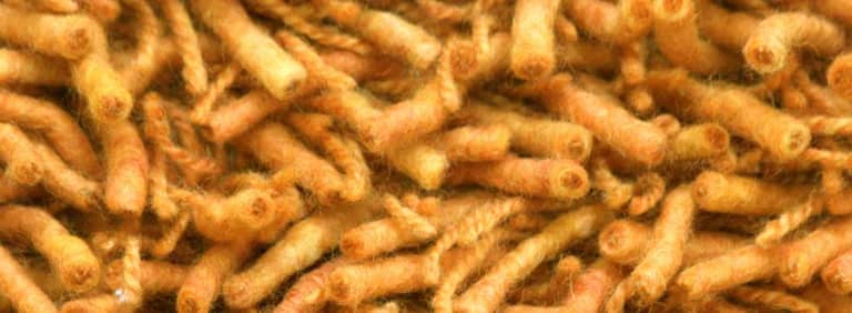 City-Miami-Farbe_1022