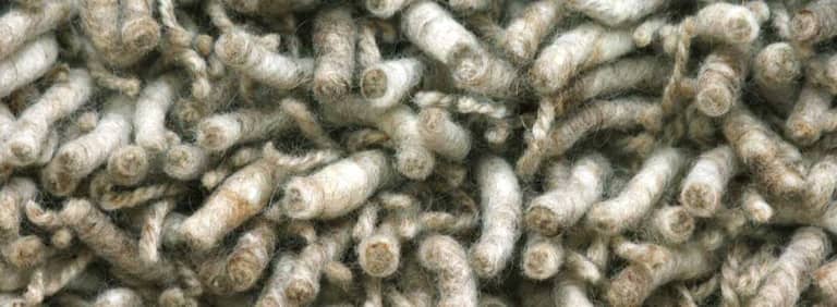 City-Miami-Farbe_1104