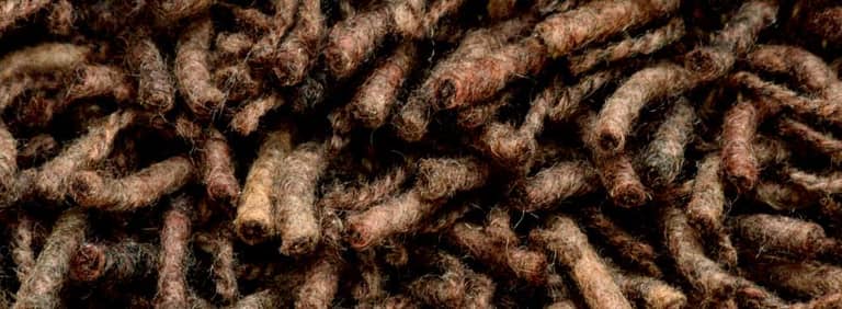 City-Miami-Farbe_1168