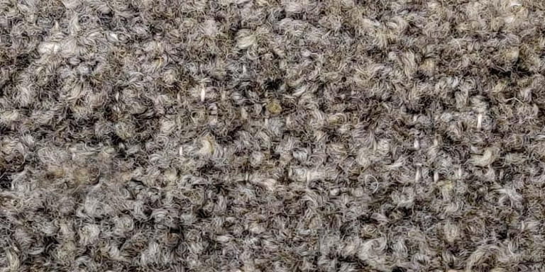 Wellness-Flor-Farbe_1038