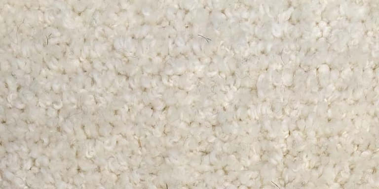 Wellness-Flor-Farbe_1100